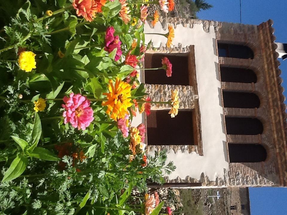 Casa Rural Caseta De L' Hort Villafranca del Cid Pokój zdjęcie