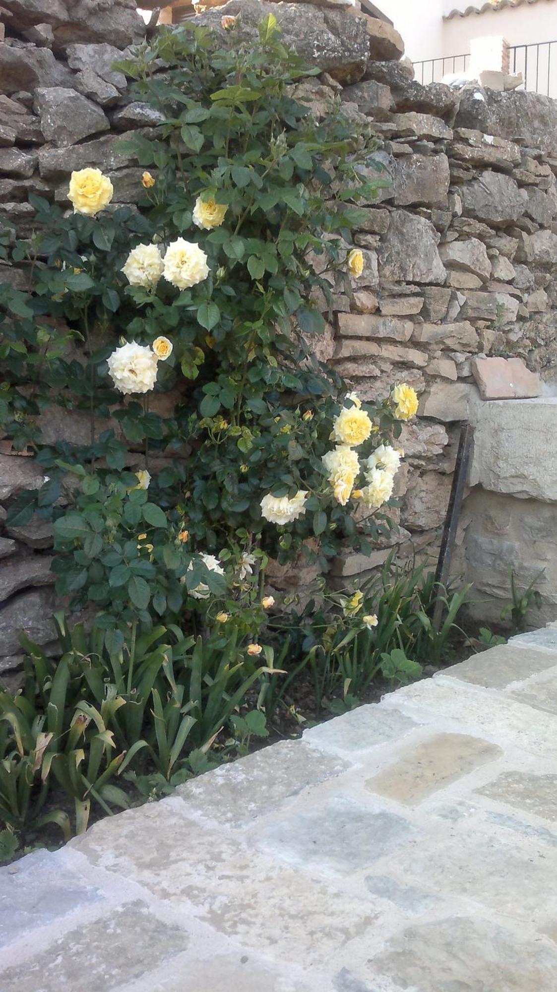 Casa Rural Caseta De L' Hort Villafranca del Cid Zewnętrze zdjęcie