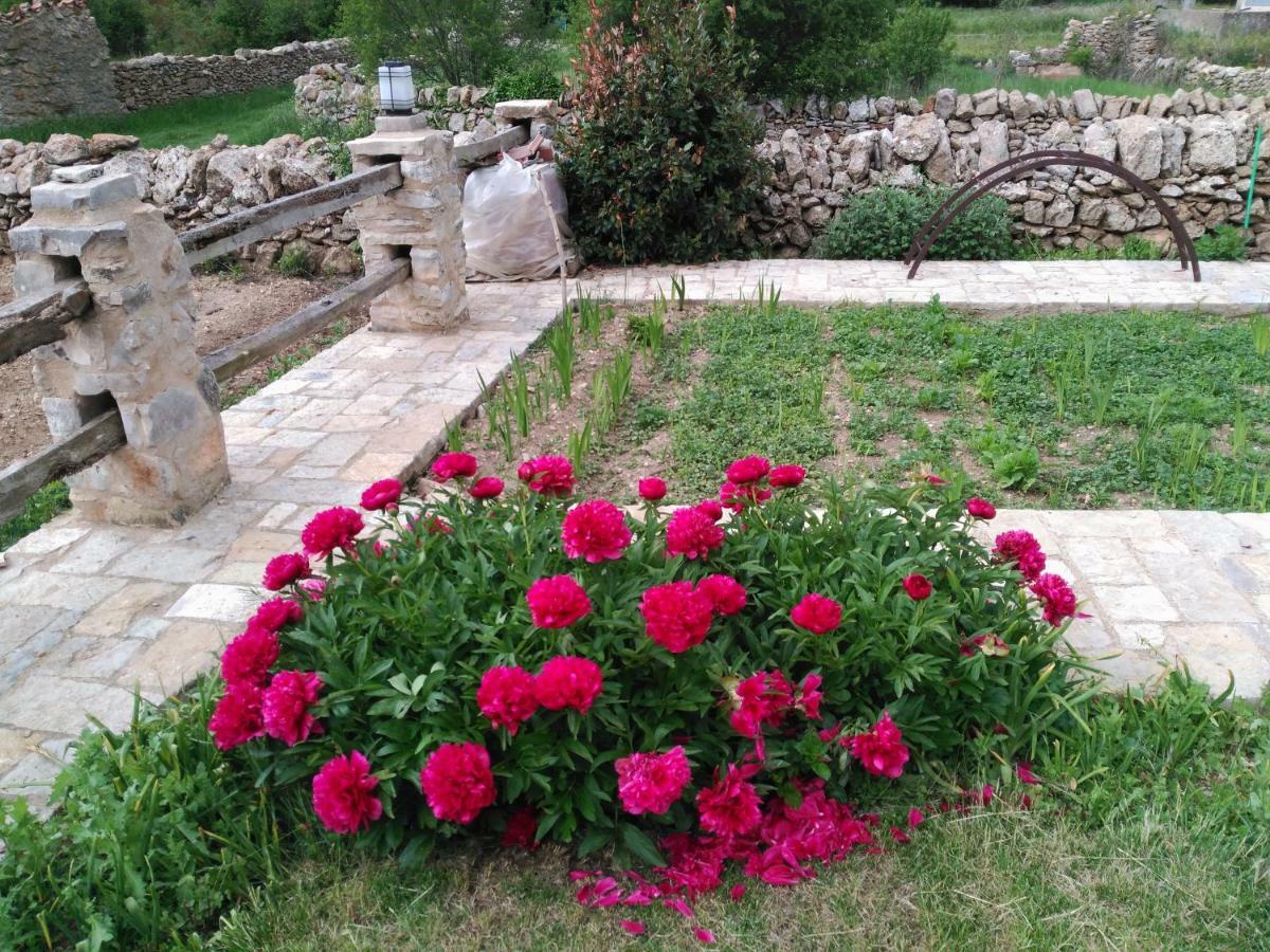 Casa Rural Caseta De L' Hort Villafranca del Cid Zewnętrze zdjęcie