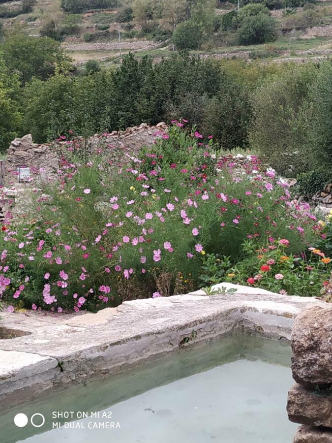 Casa Rural Caseta De L' Hort Villafranca del Cid Zewnętrze zdjęcie